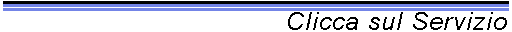 SERVIZIO  RICHIESTO